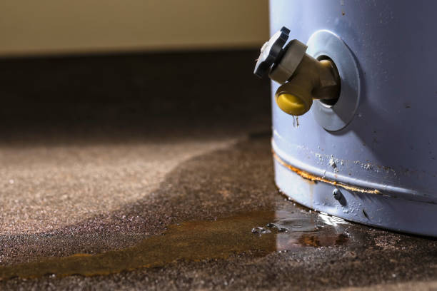 Best Local water damage restoration  in Ludlow, KY