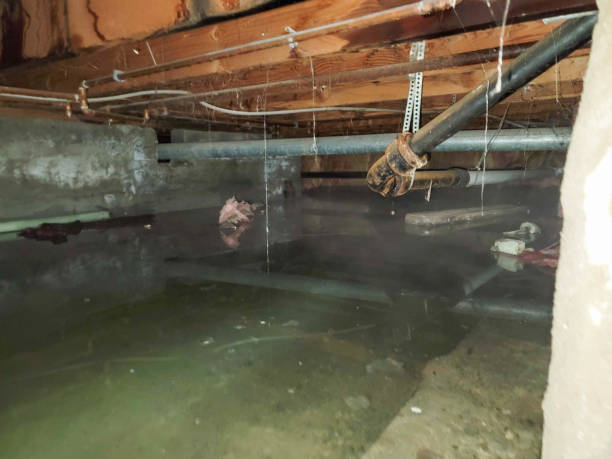Best Water damage restoration cost  in Ludlow, KY