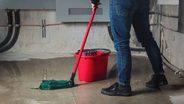 Best Mold removal after water damage  in Ludlow, KY