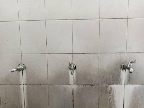 Best Commercial water damage restoration  in Ludlow, KY