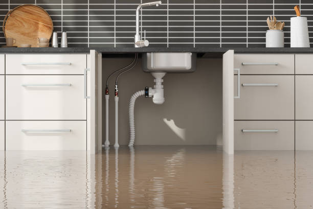 Best Water damage restoration near me  in Ludlow, KY