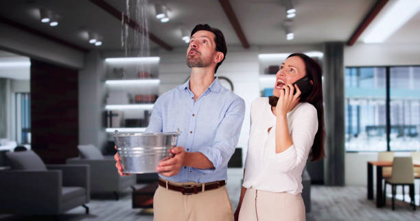 Best Basement water damage restoration  in Ludlow, KY